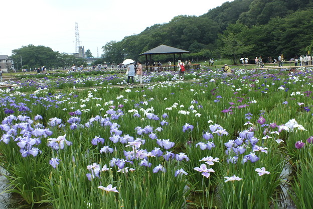 DSCF0185