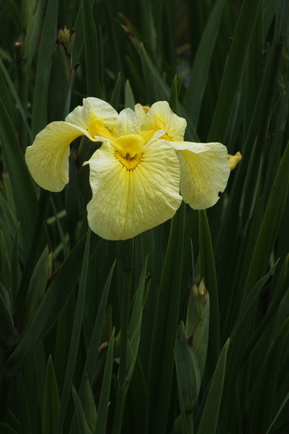 DSCF0326