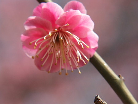 2008_03040225