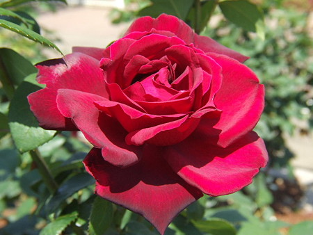 2008_05270244