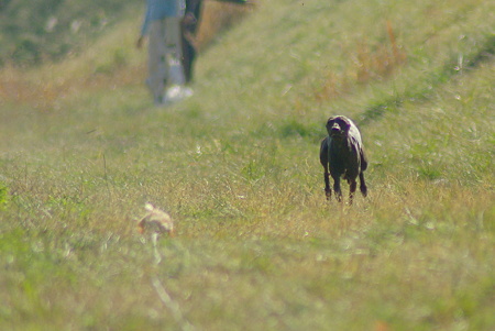 1024IMGP0998
