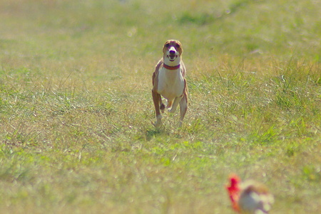 1024IMGP0928