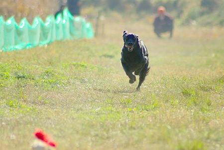 1024IMGP0772