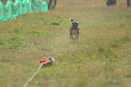 1024IMGP0747