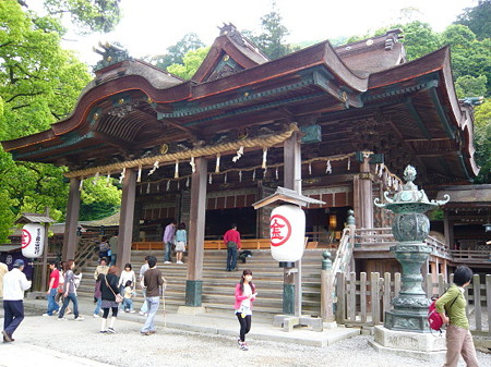 20090506P1010130_1_1