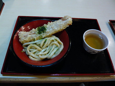 20090506P1010105_1_1