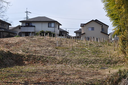 竹株の古墳?