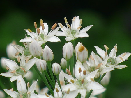 P1070178