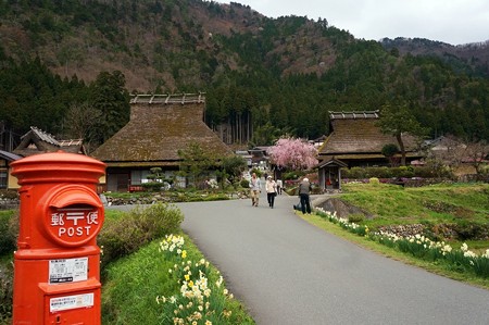 美山