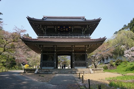 林泉寺_00