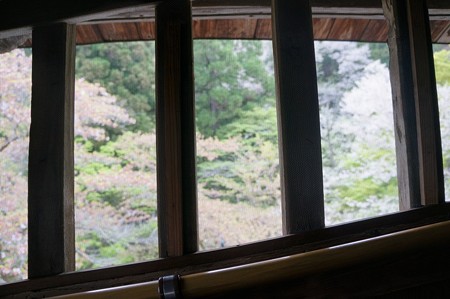 散る桜