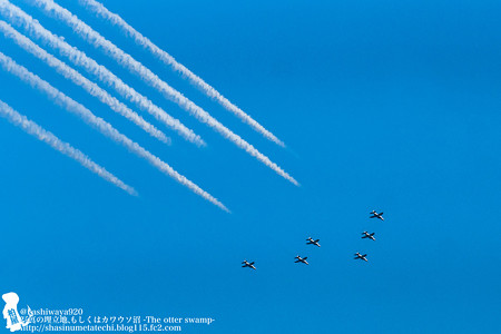blueimpulse140531001