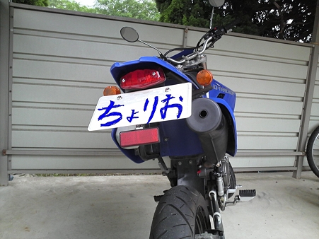 P1000003re
