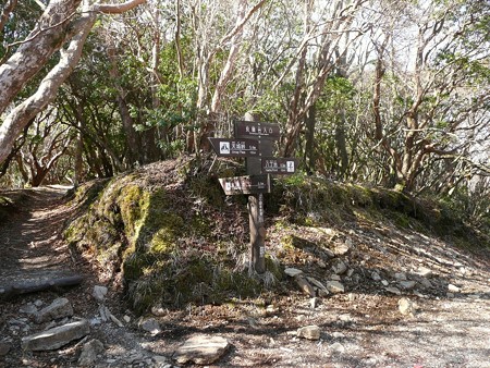 見晴台への分岐点