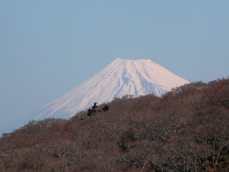 見晴台から眺める富士山