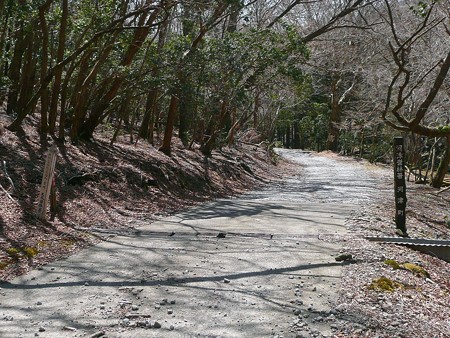 河津町との境