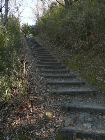 本城山公園展望台へ続く階段