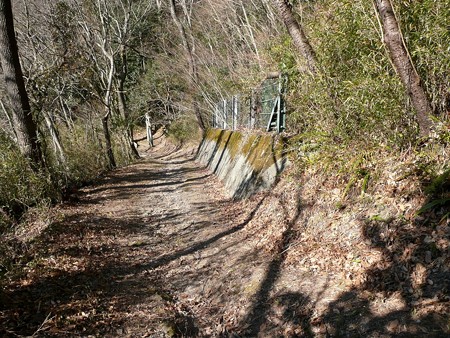 本城山南側へと下る道