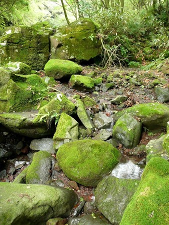 須津川上流の岩場