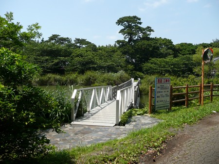 明神池に掛かる橋