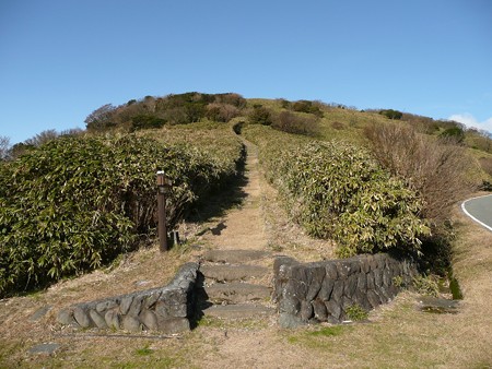 達磨山登山道