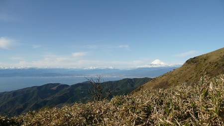 達磨山登山道からの眺め