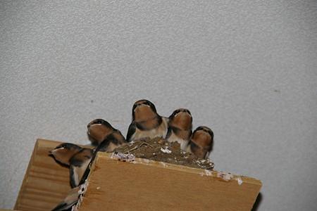 2007年6月23日