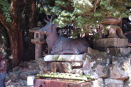 伏鹿手水所ふせじかてみずしょ