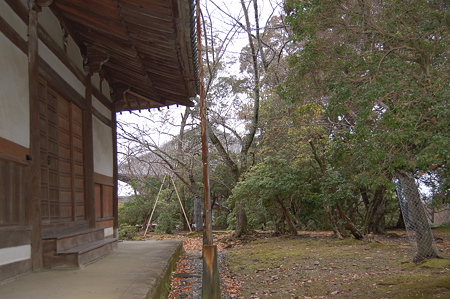滝山寺 241