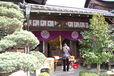 京都特別公開 136