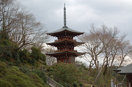 飛鳥岡寺2009 3.20