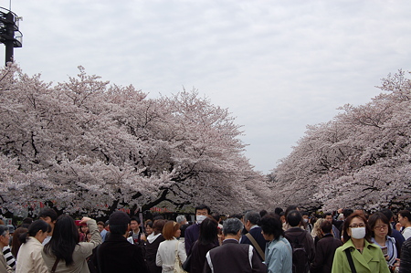 上野のお山