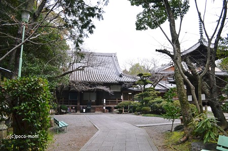 斑鳩吉田寺2014年02月10日_DSC_0404