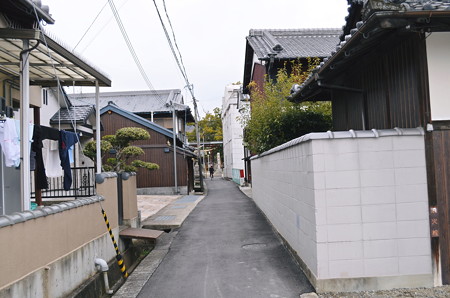 斑鳩吉田寺2014年02月10日_DSC_0419