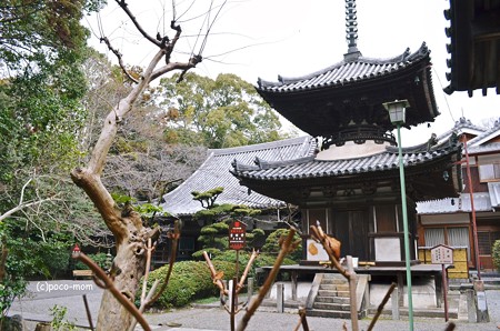 吉田寺2014年02月10日_DSC_0409