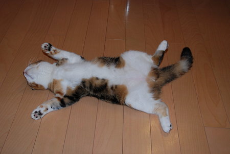 モモのひらき