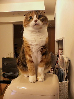 お釜の上です