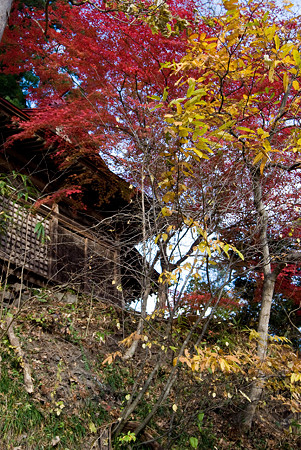 神社の紅葉_その2
