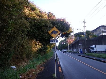 090415 野津田町