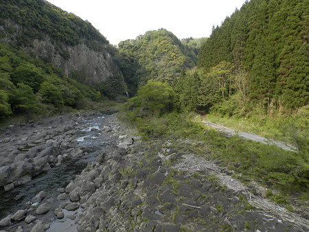 P4263744