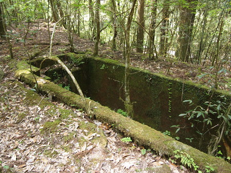P5032382