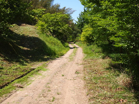 P5042461