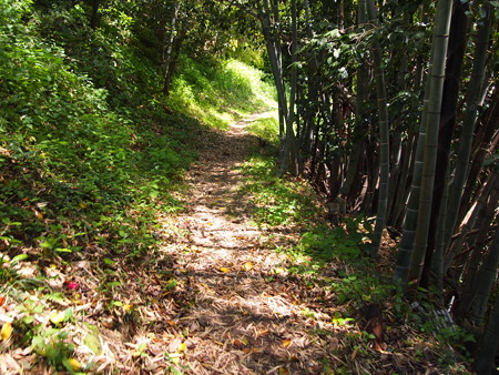 P5042469