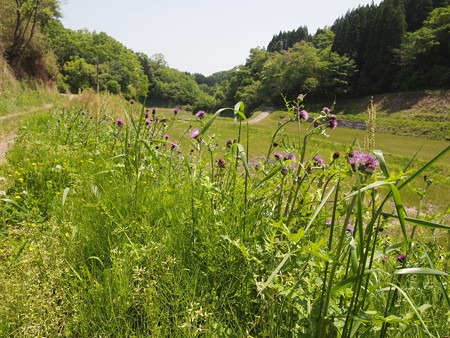 P5042493