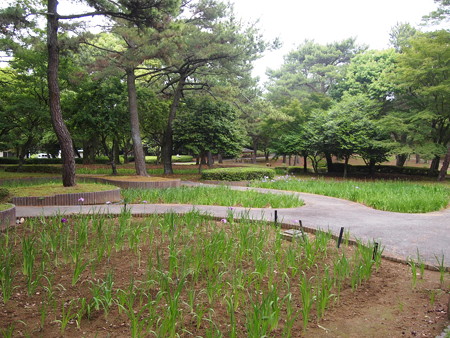 P1012773