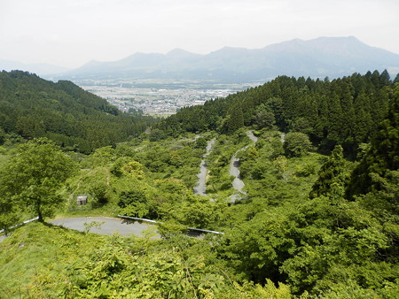 P5253794