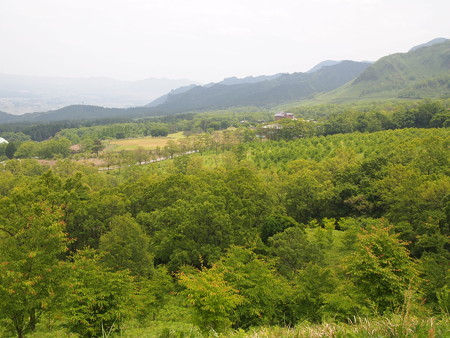 P5253112
