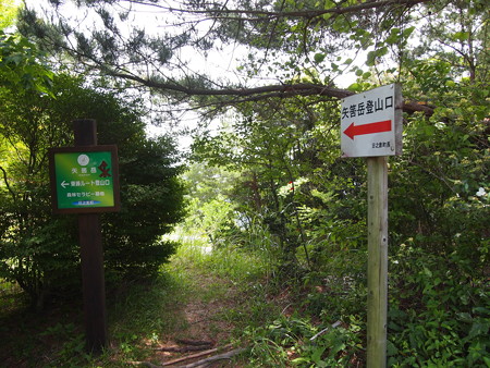P5283220