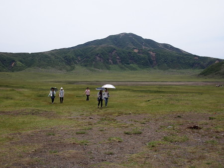 P6013350
