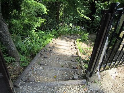 階段を降りていくと